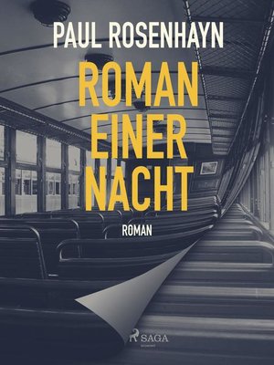cover image of Roman einer Nacht